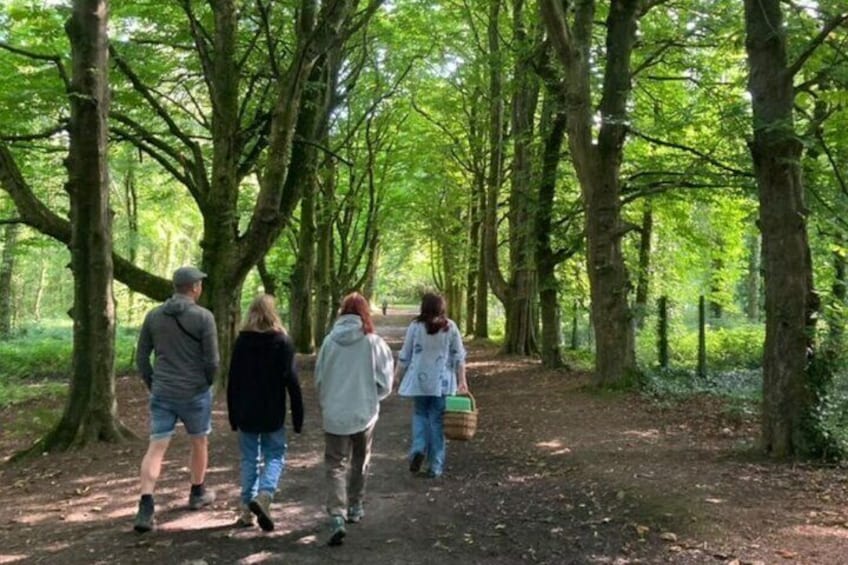 Courtown Woodland Guided Tour