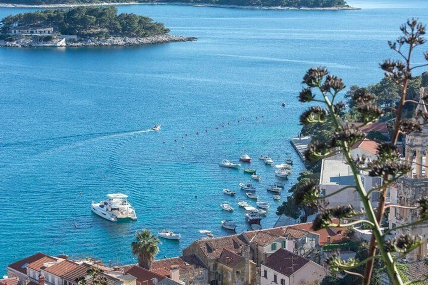 Blue Cave and Hvar 5 Islands speedboat tour | from Split&Trogir