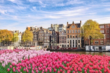 Private Transfer From Eindhoven To Amsterdam, Stop In Utrecht