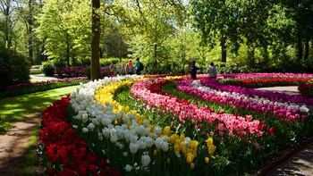 Biglietti con ingresso "salta la fila" per il parco Keukenhof con...