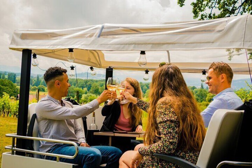 Immersion in the Geneva vineyards by tuktuk with tasting
