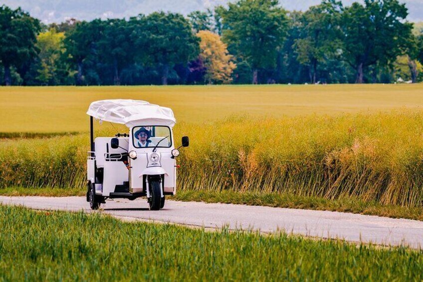 Immersion in the Geneva vineyards by tuktuk with tasting