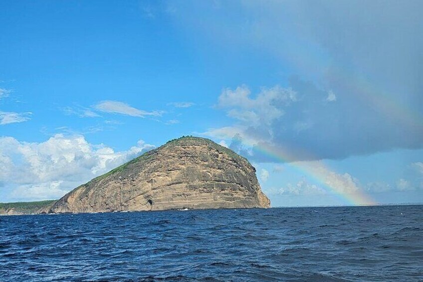 3 North Islands Catamaran Cruise with Snorkeling. Lunch on island