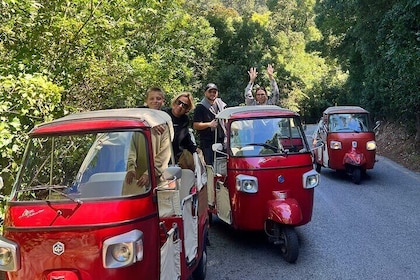 1-Hour Guided Tuk-Tuk Tour in Sintra