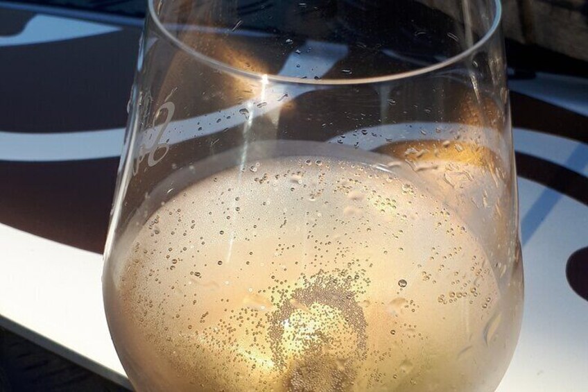 Sunset and Champagne tasting in the Vineyard