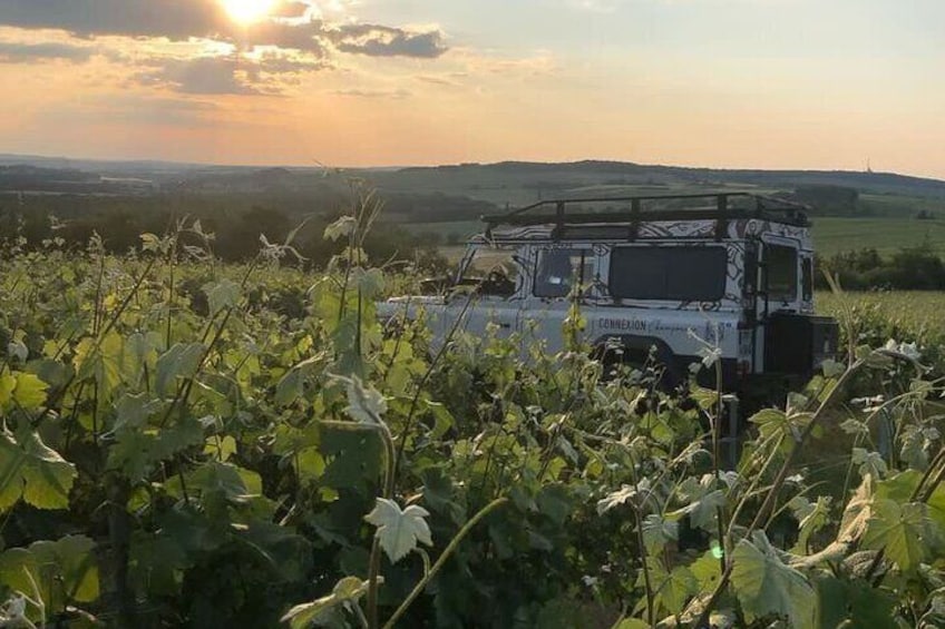 Sunset and Champagne tasting in the Vineyard