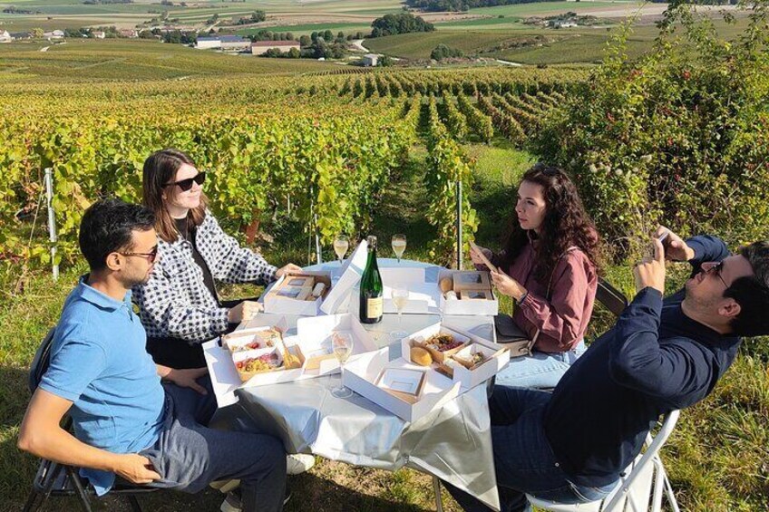 Sunset and Champagne tasting in the Vineyard