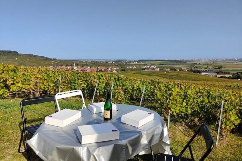 Sunset and Champagne tasting in the Vineyard