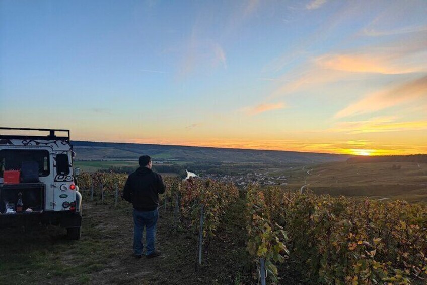 Sunset and Champagne tasting in the Vineyard