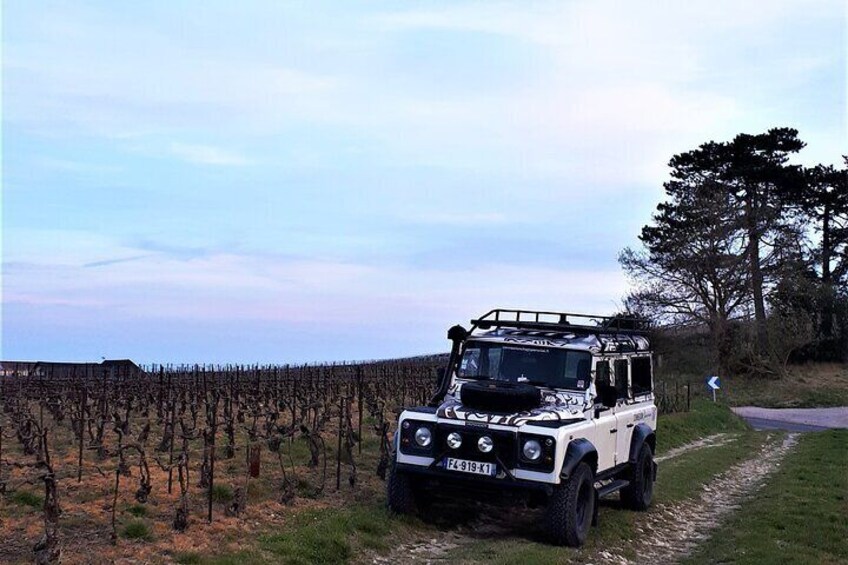 Sunset and Champagne tasting in the Vineyard