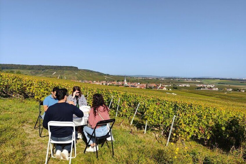 Sunset and Champagne tasting in the Vineyard