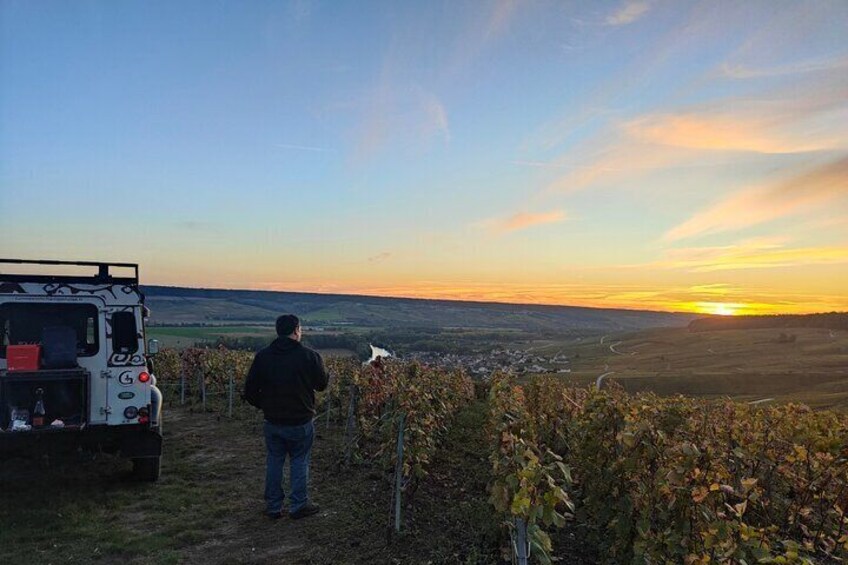 Sunset and Champagne tasting in the Vineyard