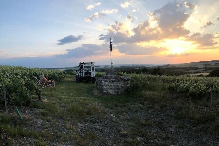 Sunset and Champagne tasting in the Vineyard