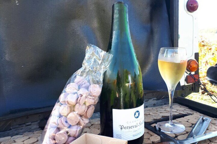 Sunset and Champagne tasting in the Vineyard