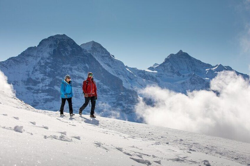 Cheese and chocolate on mountain summit