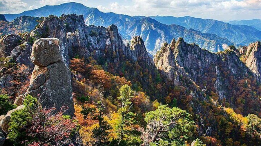 Full-Day Tour in Mt. Seorak & Nami