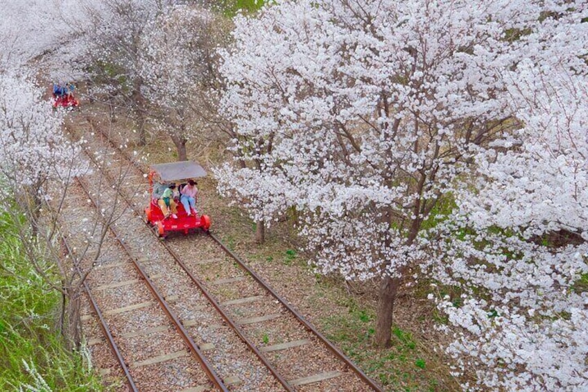 Rail Bike