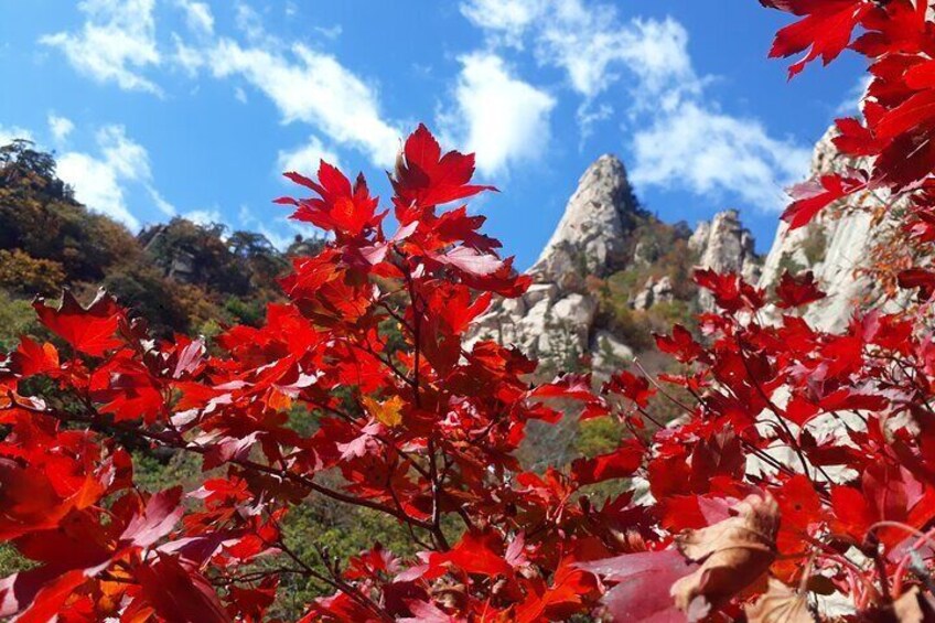 Seoraksan fall foliage season