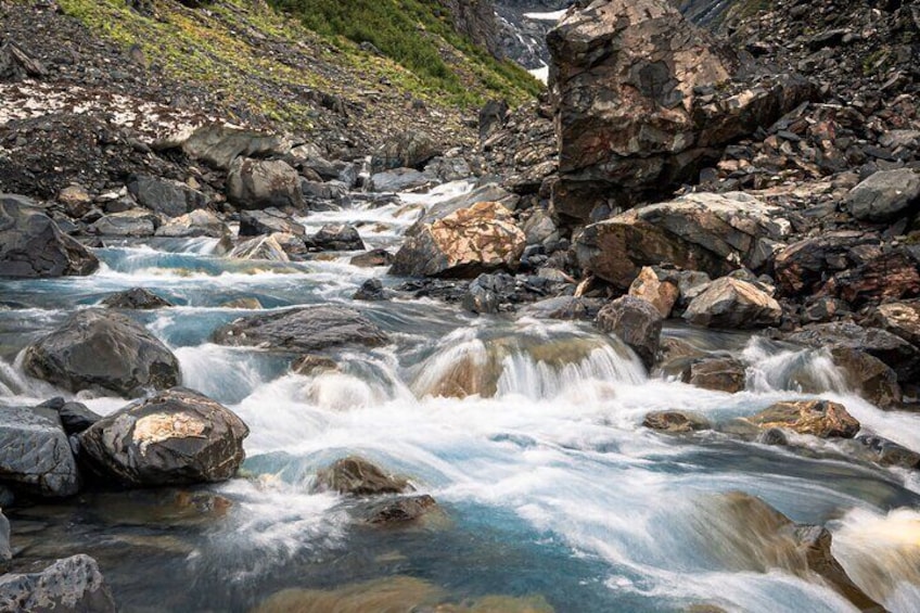 Private Anchorage Glacier River Walk & Wildlife Tour