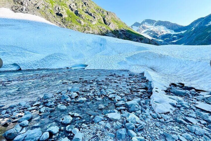 Glacier View & Wildlife Anchorage Adventure Tour