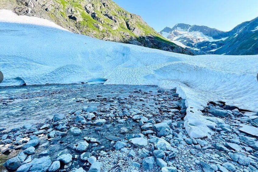 Glacier View & Wildlife Anchorage Adventure Tour