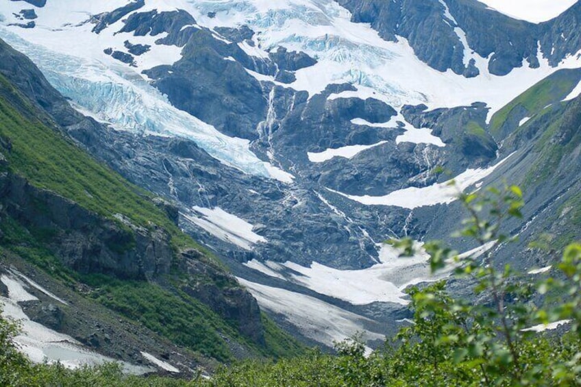 Private Anchorage Glacier River Walk & Wildlife Tour