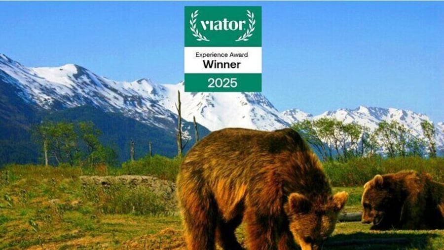 Anchorage Tour of the Year!