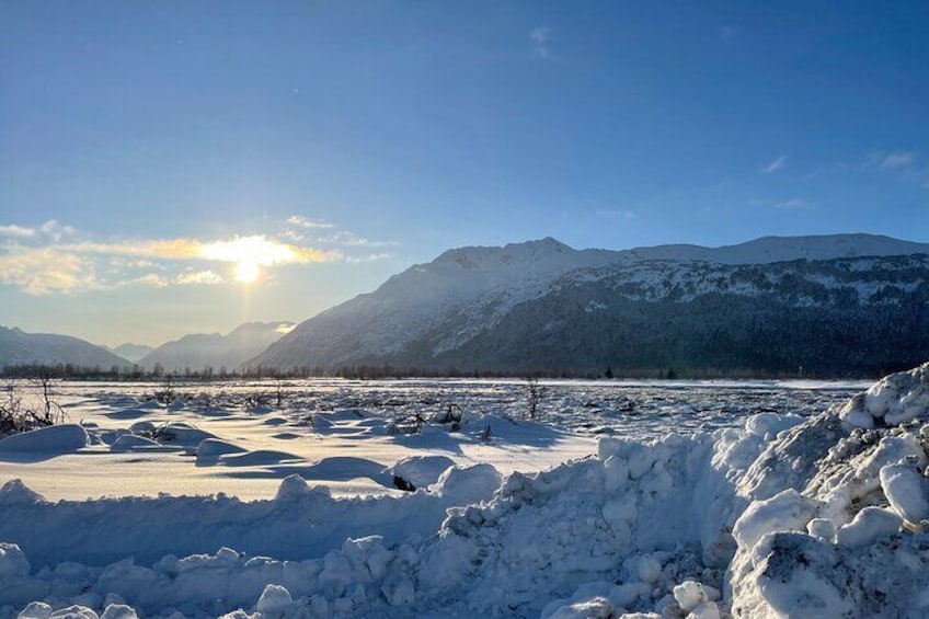 Anchorage to Seward- Pre-Cruise Curated Wildlife Tour +Transfer