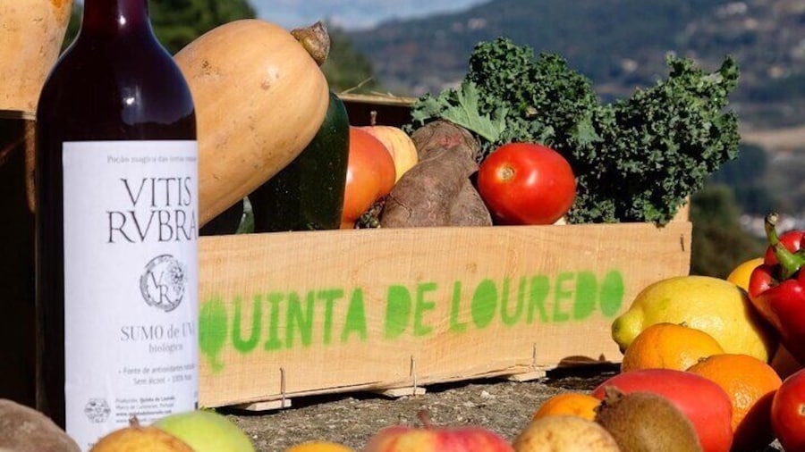 Traditional Cooking Class & Farm Tour in the Douro Valley