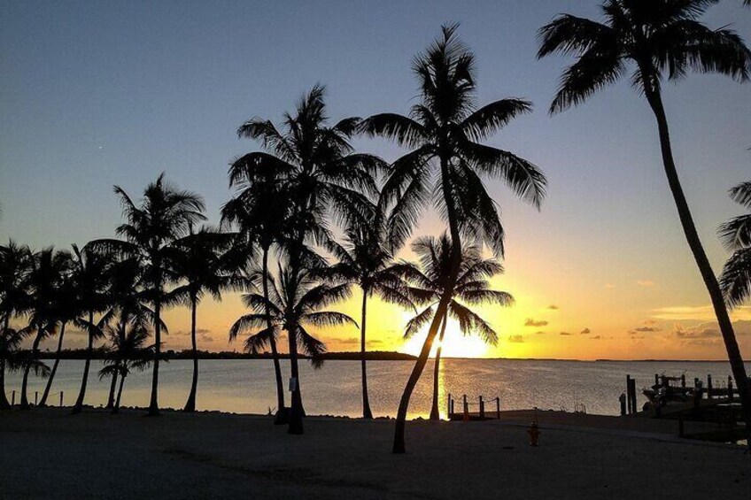 Islamorada Florida Keys Sunset Sightseeing Cruise Music & Drinks 