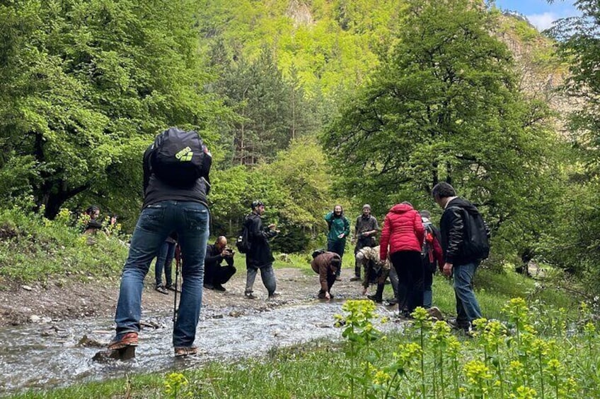 13 km hike in Borjomi - Group tour from Tbilisi