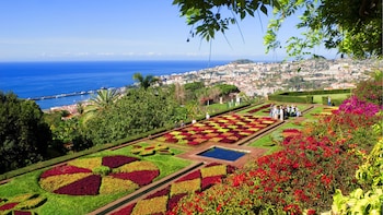 Funchal Hop On Hop Off Tour Mit Camara De Lobos Und Cabo Girao 48 Stunden