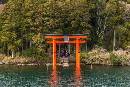 Guided Private Day Tour: Lake Ashi Cruise & Hakone highlights