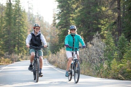 Small Group E-Bike Tour the Banff Local Explorer