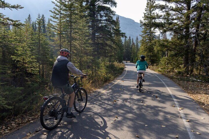 Small Group E-Bike Tour the Banff Local Explorer