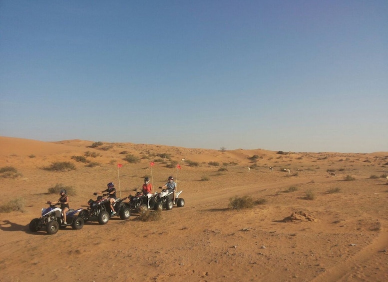 Picture 1 for Activity Ras Al Khaimah: Guided Quad Bike Tour