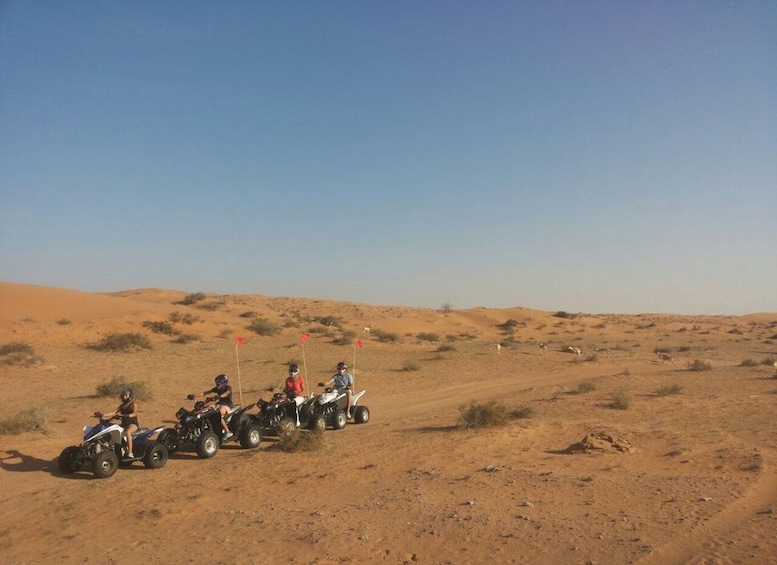 Picture 1 for Activity Ras Al Khaimah: Guided Quad Bike Tour