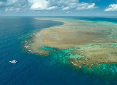 Port Douglas: Outer Reef Ganztägige Schnorcheltour