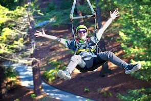 Skyline Rotorua Gondola, Luge, Skyswing and Zip line Pass