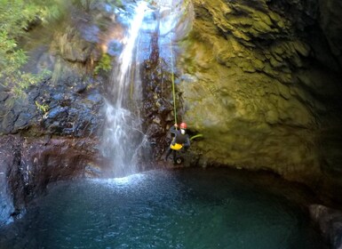 Excursión privada de barranquismo: Madeira