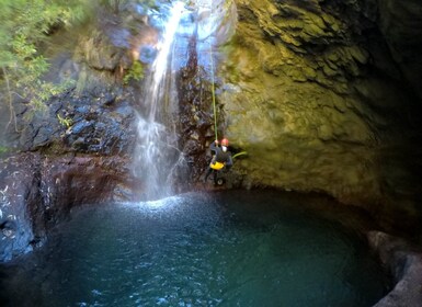 Prive canyoning tour: Madeira