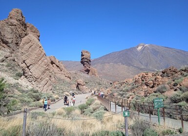 Von Teneriffa: Geführter Tagesausflug zum Teide-Nationalpark mit dem Bus