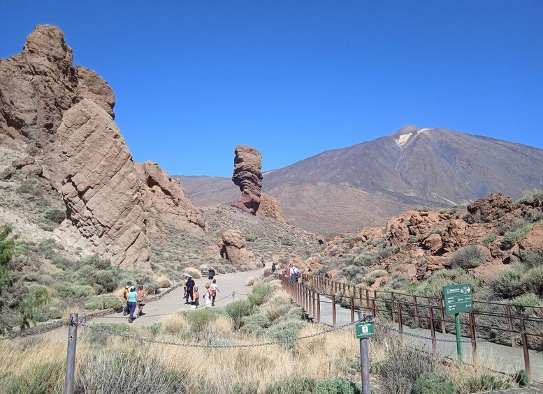 From Tenerife: Teide National Park Guided Day Trip by Bus