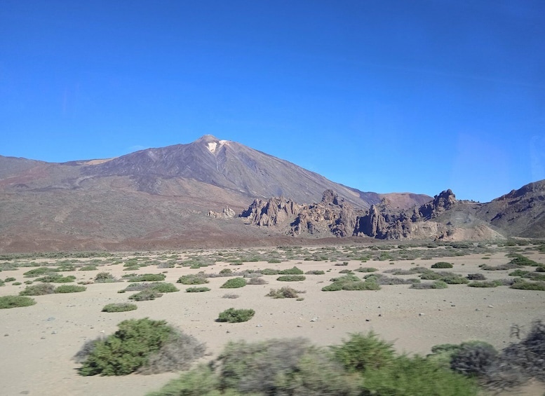 Picture 4 for Activity From Tenerife: Teide National Park Guided Day Trip by Bus