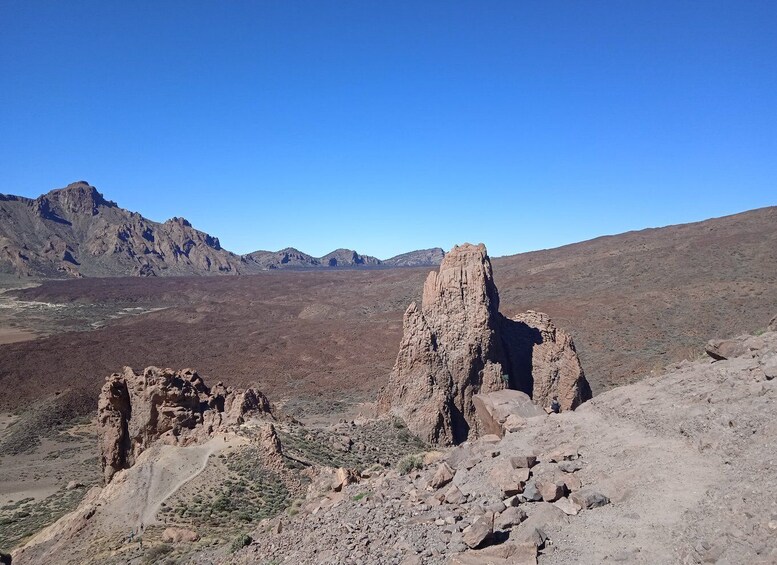 Picture 8 for Activity From Tenerife: Teide National Park Guided Day Trip by Bus