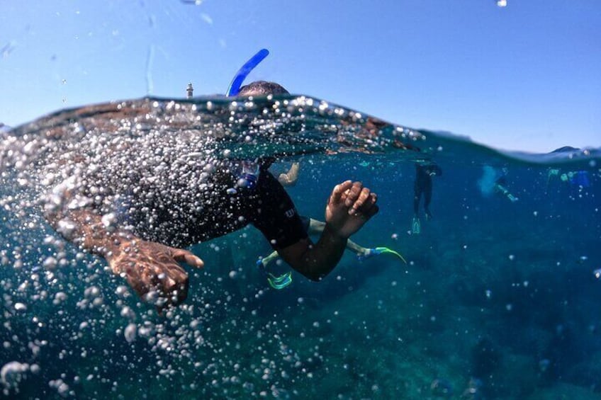 4 Hours Snorkeling Activities Villasimius Isola dei Cavoli