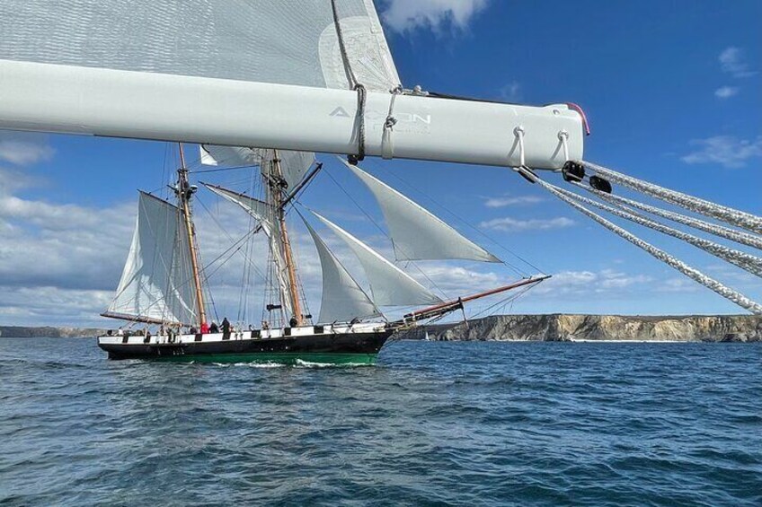 Meeting with the schooner La Recouvrance in the bay of Camaret s/mer