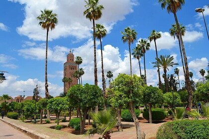 Private day trip to Marrakech from Casablanca