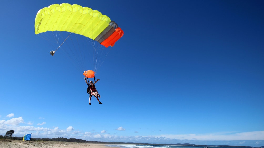 Skydivers with parachute deployed prepare for landing on beach in Batemans Bay