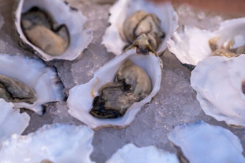 Oysters and Bubbles Sailing Experience in Vilamoura